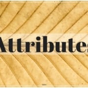 Attributes of a Salesperson